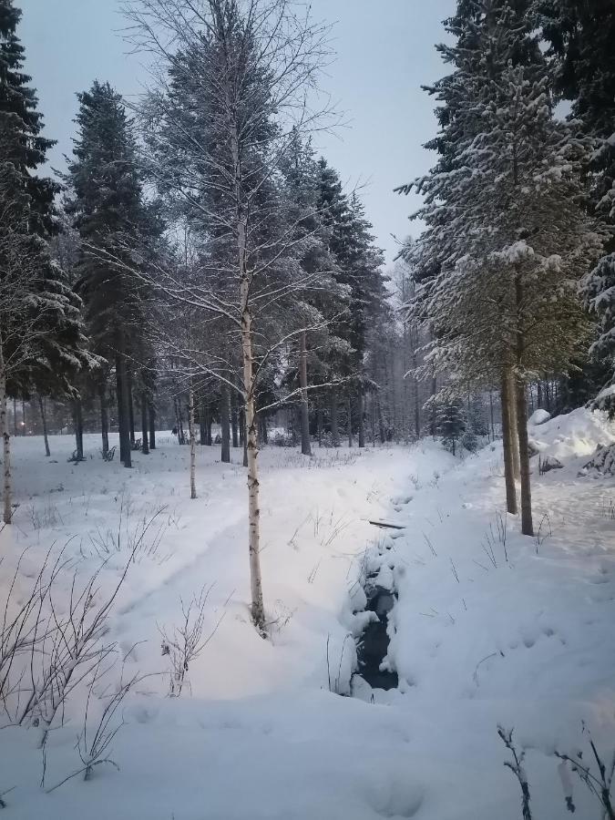 Hostel Tikka Rovaniemi Exteriör bild